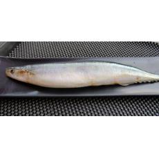 秋刀魚10入