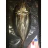 竹筴魚1入
